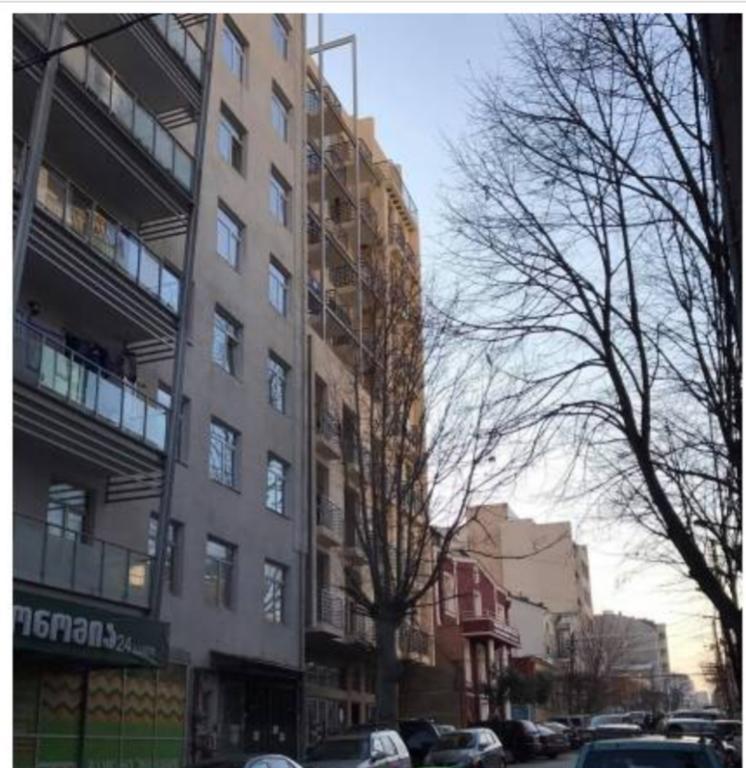 Sophio House In Gagarini Apartment Tbilisi Ngoại thất bức ảnh